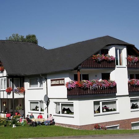 Landhaus Behle Willingen  Zewnętrze zdjęcie